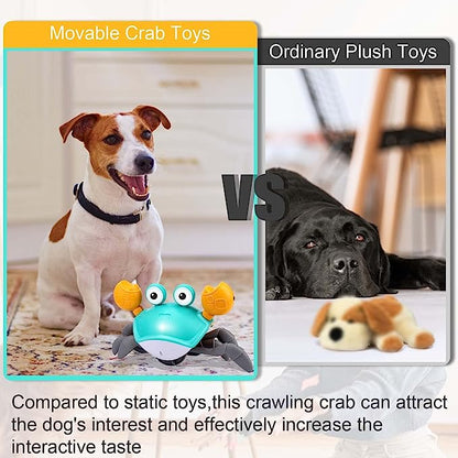 Crawling Crab Toy: Interactive Pet Toy