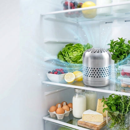 FreshAura Nano Fridge Purifier